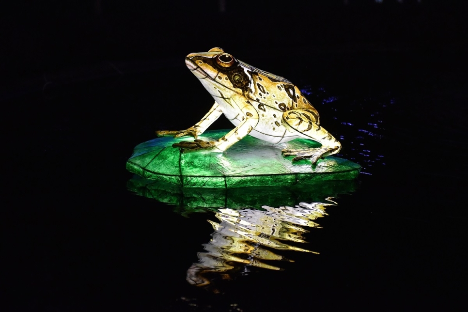 Early bird tickets for NEW lantern experience